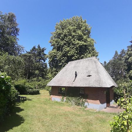 De Hooge Woeste Villa Emst Ngoại thất bức ảnh