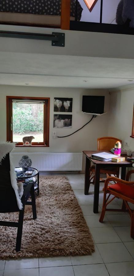 De Hooge Woeste Villa Emst Ngoại thất bức ảnh