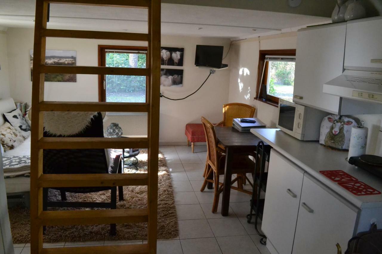 De Hooge Woeste Villa Emst Ngoại thất bức ảnh